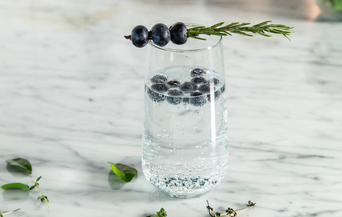Low calorie Gin and Tonic